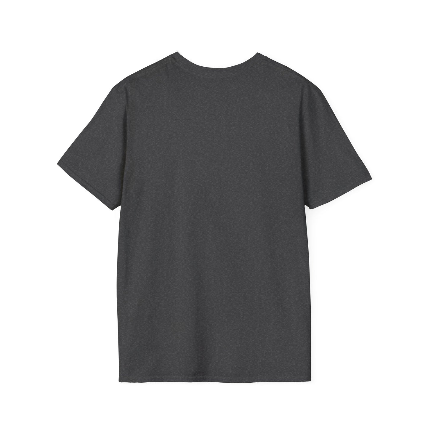 S Rank Hunter T-Shirt - Unisex Softstyle Gaming Tee, Perfect for Gamers and Celebrating Achievements